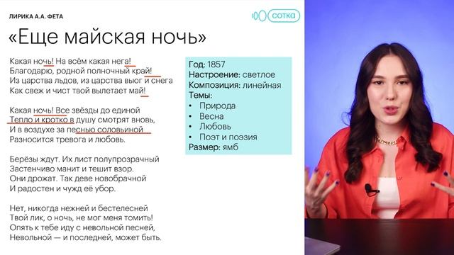 ЛИРИКА ФЕТА ДЛЯ ЕГЭ ЗА 30 МИНУТ смотреть онлайн