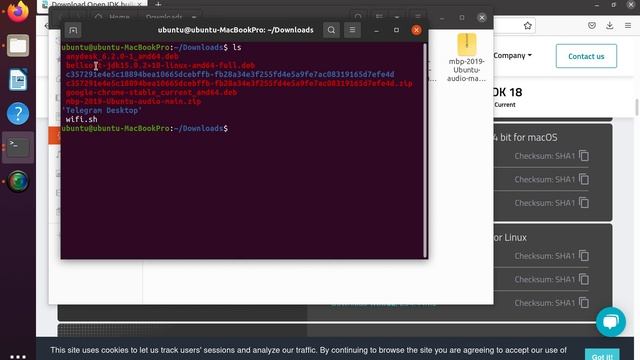 Cara Download dan Install Java Bellsoft JDK 15 Full di Ubuntu 20.04 смотреть онлайн