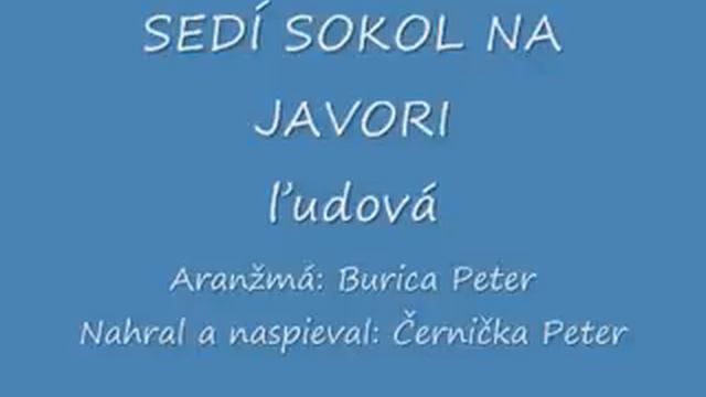 SEDI SOKOL NA JAVORI - ľudová © ČePE MUSIC, s.r.o. 2013 смотреть онлайн