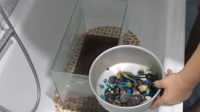 УХОД ЗА РЫБКАМИ В АКВАРИУМЕ. смотреть онлайн