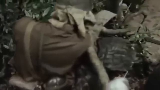 Battle Of The Pacific 2011 Full Movie with indonesian subtitle 360p смотреть онлайн