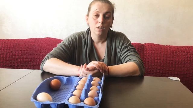 Доклад про цесарок смотреть онлайн
