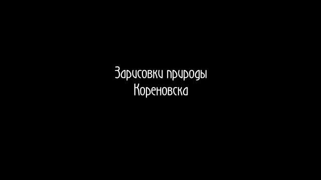 Трёхмерная стерео-фотография "Зарисовки природы Кореновска" смотреть онлайн