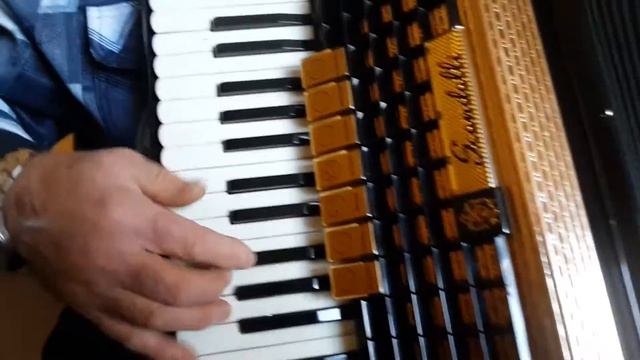 Scandalli Vintage LMM Accordion 96 bass Black Fisarmonica + Case (1) смотреть онлайн