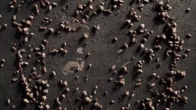 SUMARROW "style of tomorrow " смотреть онлайн