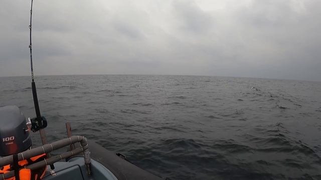 МОРСКАЯ РЫБАЛКА ЛЮБИТ НАСТОЙЧИВЫХ / SEA FISHING LOVES THE PERSISTENT смотреть онлайн