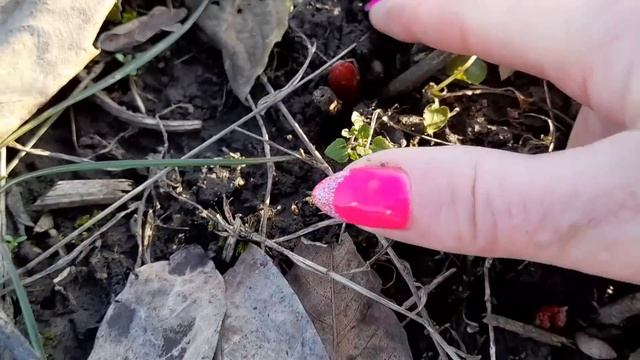 СЕЛО! РАБОТЫ МНОГО//МОЙ ДЕНЬ//БУДНИ В СЕЛЕ!#село#простаяжизнь#жизньвселе#мойдень смотреть онлайн