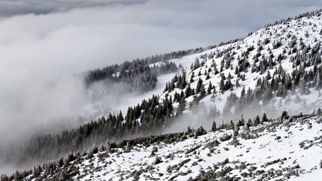 4 Hours of Calm Winter Music смотреть онлайн