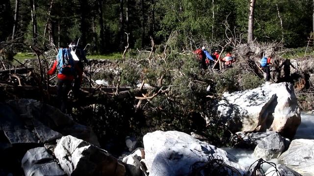 ''Школа Ситника'' 18.06.- 6.07.2018г смотреть онлайн