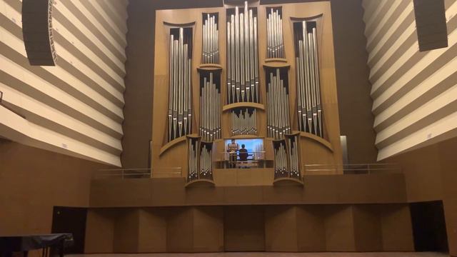 P.I. Tchaikovsky, " Russian dance " - Du Hanfeng , saxophone смотреть онлайн