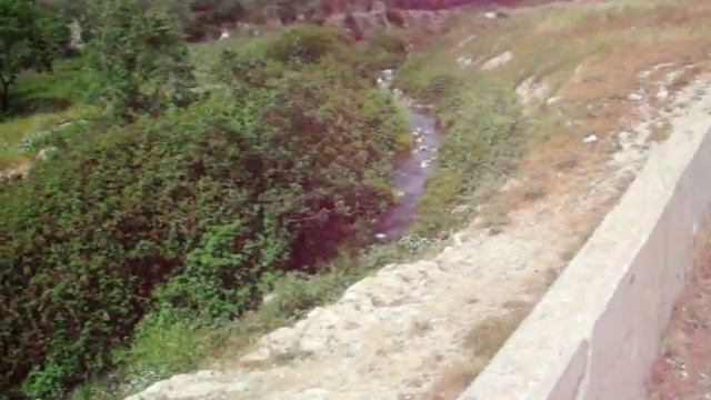 Прогулка за городом на речке Палестина Palestine смотреть онлайн