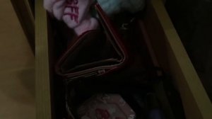 С Басиками дома | у нас появился вор