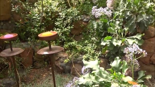 Palmitos Park (Gran Canaria) смотреть онлайн