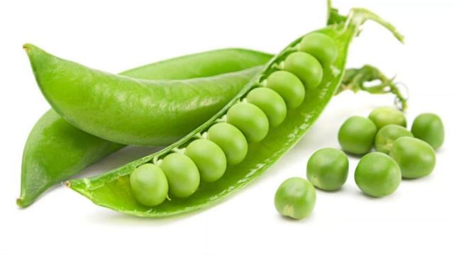 #ПОЛЬЗА #И #ВРЕД #ГОРОХА смотреть онлайн