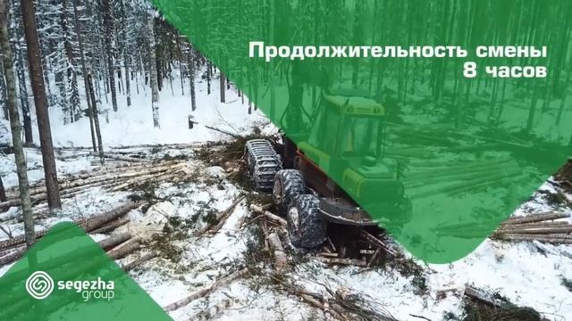 Как работают специалисты по заготовке леса в Segezha Group? смотреть онлайн
