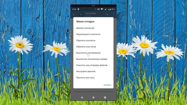 Как попасть в скрытое секретное меню Телеграм. Telegram debug. Как отметить все чаты прочитанными смотреть онлайн