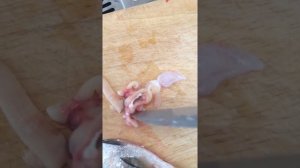 Ленточный червь в рыбе