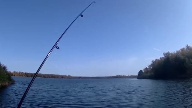 72 КАРПЫ НА ФИДЕР . РЫБАЛКА НА ВОЛГЕ. ПО ЧАРДЫМСКИМ МЕСТАМ ЮРСКОГО И ОКУДЖАВЫ// Volga fishing carp смотреть онлайн