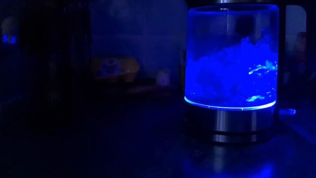 Сколько тварей столько и странностей.... ЗАРИСОВОЧКИ нашей БРЕННОЙ жизни 😁 смотреть онлайн