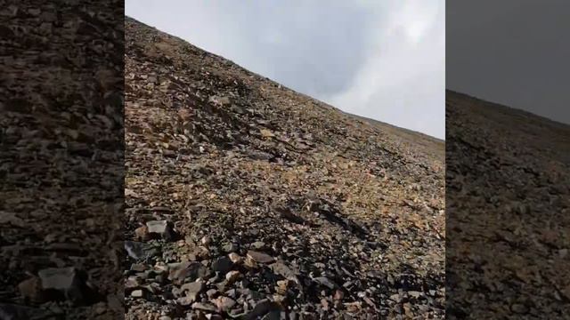 Карачаевская порода лошадей КЪ смотреть онлайн