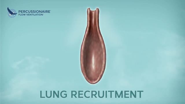 Percussionaire Company смотреть онлайн