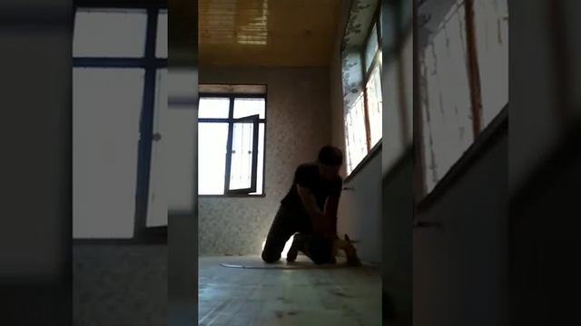 Pol parket cilalama tozsuz tel 055-416-72-28 смотреть онлайн