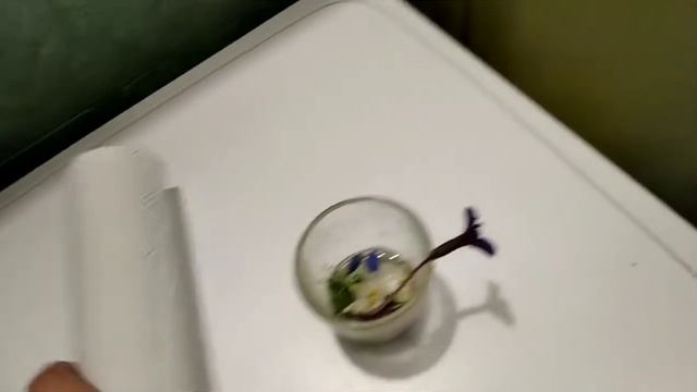 ?Сушим цветочки {Подснежники, Фиалки, колокольчики, и хз что}? смотреть онлайн