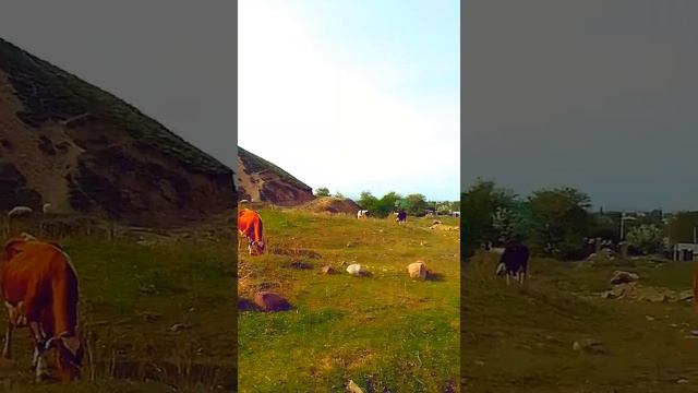 Две с половиной минуты под горами.Есик.Казачье ущелье. смотреть онлайн