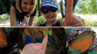 GoPro HERO Black 6 4k 50 FPS Video. Прогулка по лесу.