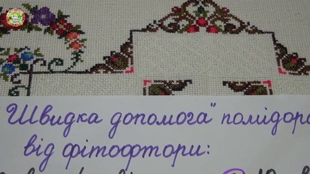 Чем быстро спасти помидоры, картофель от фитофторы? "Скорая помощь" огородникам из кухни и аптечки смотреть онлайн