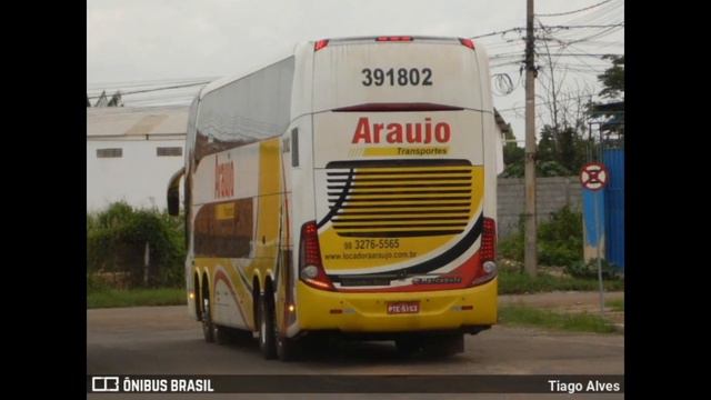 Araújo Transportes - São Luís (MA) #LeonardoAbrantes смотреть онлайн