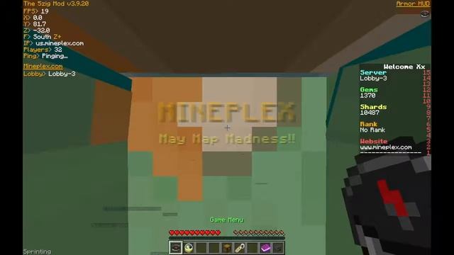 Mineplex Mini Games(Gem Hunters,Mixed Arcade)