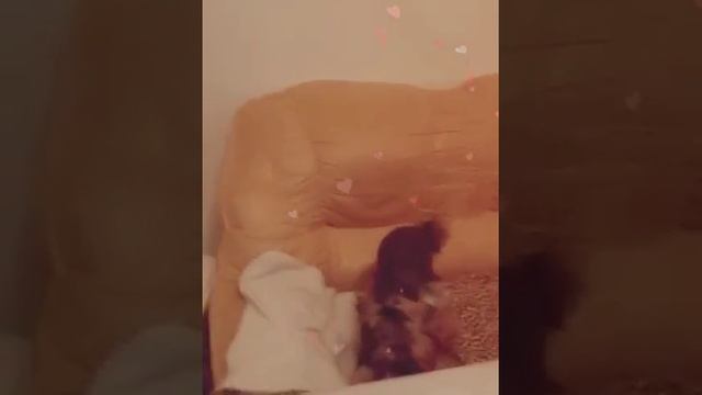 "Любовь Кекса" смотреть онлайн