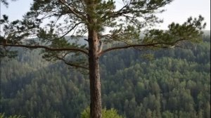 ?ВПЕРВЫЕ на YouTube?Таинственный утес?Христианские рассказы. Истории из жизни. Для широкого круга.