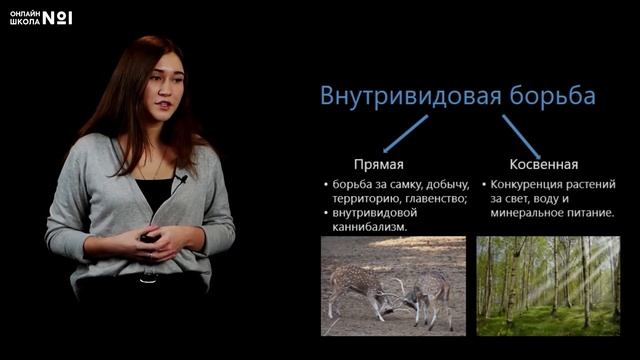 Естественный отбор: предпосылки и механизм действия. Видеоурок 8. Биология 11 класс смотреть онлайн