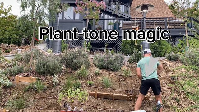 Santa Barbara Sage смотреть онлайн