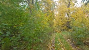 ГСВГ. Расположение в/ч 47280 в осеннюю пору. Altes Lager  22.10.2021