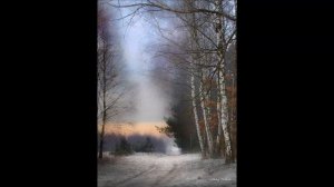 Шуберт Мюллер Шарманщик Сергей Шапошников