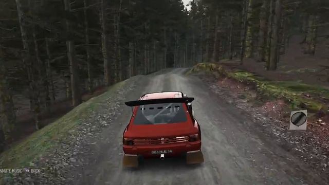 4K - WORLD RECORD - DiRT Rally - Peugeot 205 T16 Evo 2 - Dyffryn Afon Reverse - 02.36.477