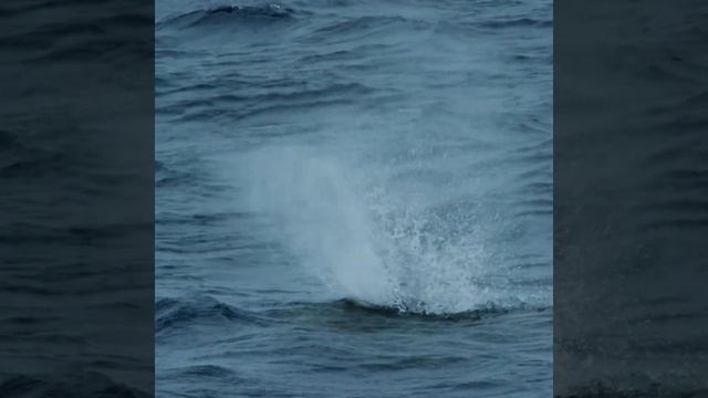 Une rencontre effrayante dans les abysses смотреть онлайн