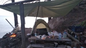 2021.07 - 08 Дикарём в Архипо-Осиповку