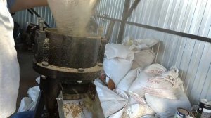 Гранулирование сена (травяной муки) на грануляторе ВМ260ПР