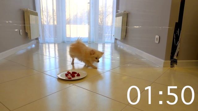 ПОБЕГ ИЗ 100 СЛОЕВ БУМАГИ и НЕВИДИМАЯ СТЕНА Челлендж ! смотреть онлайн