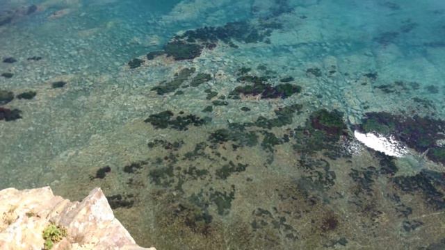 На берегах Японского Моря смотреть онлайн
