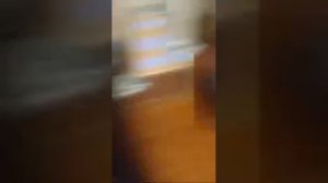 Я Подглядел За Девочками