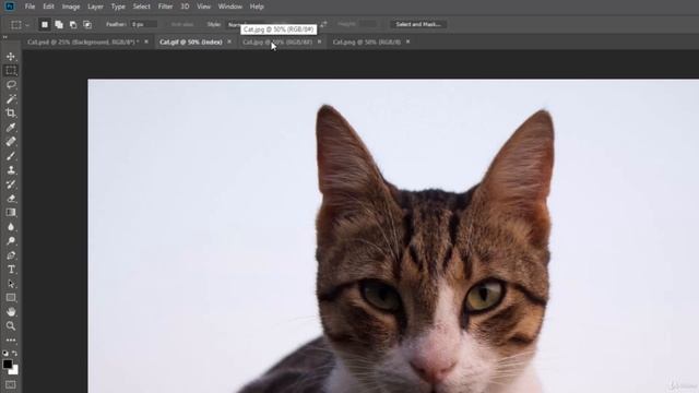 Common File Types Adobe Photoshop CC Tutorial (Part-25) смотреть онлайн