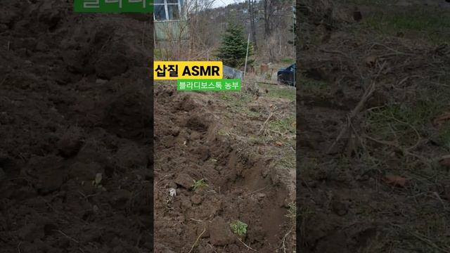 농사의 시작과 끝은 삽질. #Владивосток #дача #블라디보스톡주말농부 смотреть онлайн