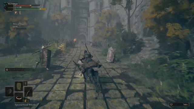 Elden Ring Seamless CO OP goes Hard смотреть онлайн