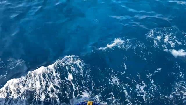 ЭТА ЭКСКУРСИЯ САМАЯ ПОПУЛЯРНАЯ В ЕГИПТЕ. РАС-МОХАММЕД. #шармэльшейх  #дайвинг #снорклинг