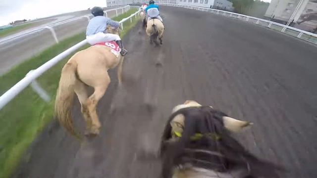 Глазами жокея. Скачка на лошадях Башкирской породы! смотреть онлайн